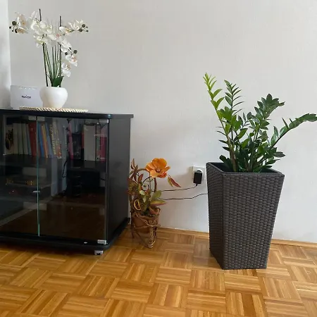 Apartment Miana