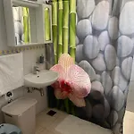 Miana トロギール